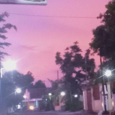 Mrapi_p's profile picture. mcha