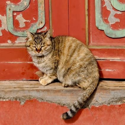 iTenzu's profile picture. 我不跟傻子或狗搭茬。