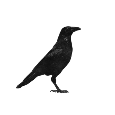 ⠀ ⠀⠀⠀ ⠀⠀⠀⠀⠀⠀⠀⠀⠀⠀⠀⠀⠀⠀⠀ ⠀⠀⠀⠀ ⿻ † ݁ 𝓭eath 𝓫r͟inger .⠀⠀⠀⠀ ⠀⠀⠀⠀⠀⠀⠀⠀⠀⠀⠀⠀⠀⠀⠀⠀⠀⠀⠀⠀⠀