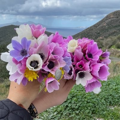 evli mutlu üç çocuklu anayım