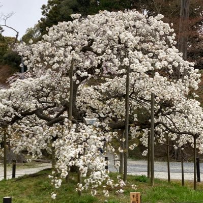 アーチェリー部所属大学生