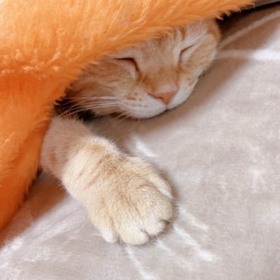 キラキラ星☆ (@kirakira1604) / Posts / X