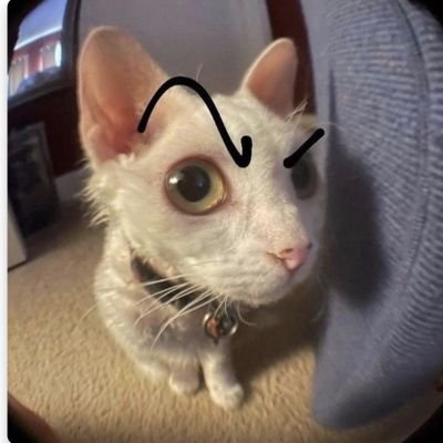 inslay88's profile picture. 