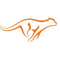 Acinonyx Web Agency (@acinonyxweb) 's Twitter Profile