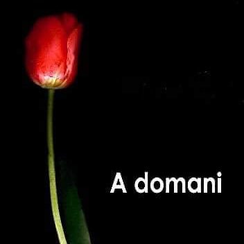 rive_gauche6's profile picture. "Alla fine andrà tutto bene. Se non andrà bene,non è la fine." - John Lennon...
