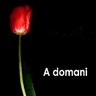 rive_gauche6's profile picture. "Alla fine andrà tutto bene. Se non andrà bene,non è la fine." - John Lennon...