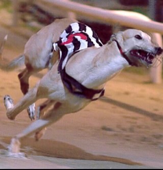 ryanking78's profile picture. NYC