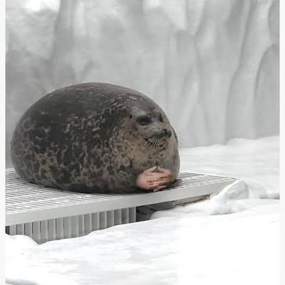 nekoblublu68's profile picture. ...