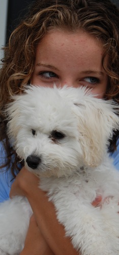 paaigehansen's profile picture. 