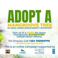 Adopt A Mangrove Tree(@adopt_Mangrove) 's Twitter Profile Photo