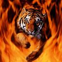 Ray Lizana - @RayLizana - Twitter