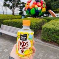 •*¨*•.¸¸ (@kakikumomo) 's Twitter Profile