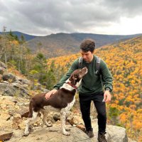 Jack Cook (@jackcookjack) 's Twitter Profile