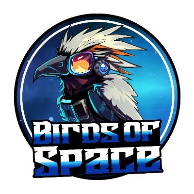 birdsofspace Profile Picture