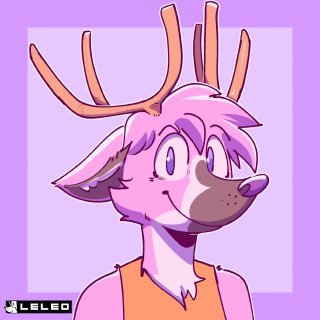 22 | Brasileiro & Espanhol | Taken | Gerente de Produtos | Pink Deer