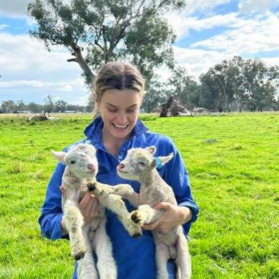 SophieAngus2's profile picture. 