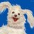 cbldiniz's profile image