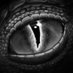 Reptile_Noir