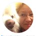 Bubba Bully Bear 💙 (@bubbabullybear) Twitter profile photo Bubba Bully Bear 💙 (@bubbabullybear) Twitter profile photo