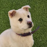 랑랑 (@langlang1129) 's Twitter Profile
