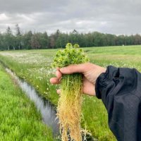 Kasvua sammalesta (@growthfrommoss) 's Twitter Profile Photo Kasvua sammalesta (@growthfrommoss) 's Twitter Profile Photo