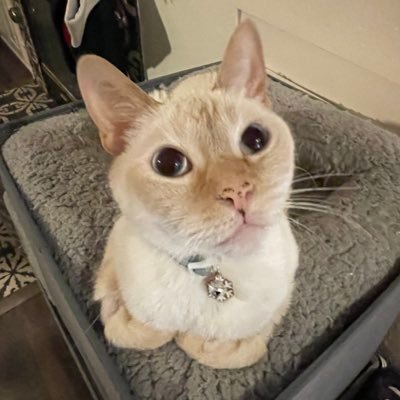 Mckenna_k_m's profile picture. :)