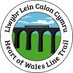 Heart of Wales Line Trail (@heartwalestrail) Twitter profile photo