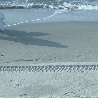 n_o0729's profile picture. 05🚺 春から東海大 文学部 日本文学科　同性の友達がほしい！