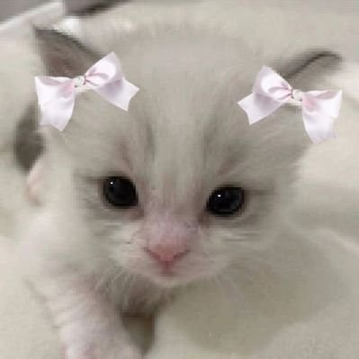 SkullSliver's profile picture. ૮ ˶ᵔ ᵕ ᵔ˶ ა

DNI IF U SUPPORT AI ART