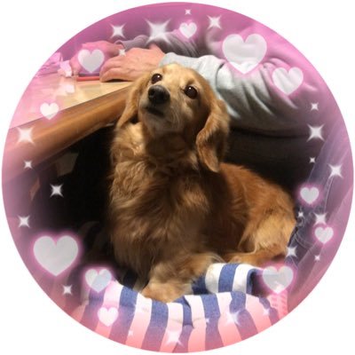 supernova1207's profile picture. supernova♥ユナク寄りのオールペンTEAM☆YOONHAK アイナナ、アニメが好きです。去年から娘に教えて貰った仔馬さんが可愛くて大好き💕アイコン変えました