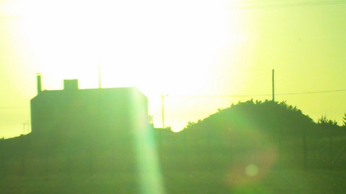 EleoGoodvibes's profile picture. 