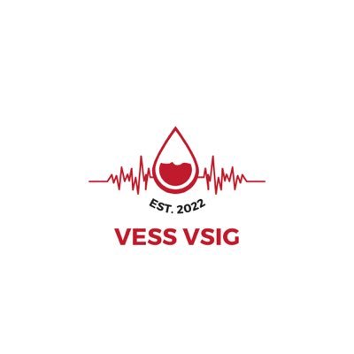 VessVsig Profile Picture