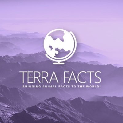 TerraFacts2's profile picture. 