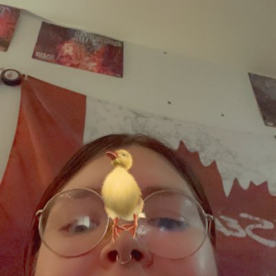 kimmmic_'s profile picture. probably talking about books idk