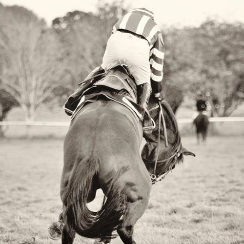 mj_scallan's profile picture. 