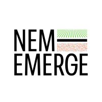 NEM-EMERGE(@NEMEMERGE) 's Twitter Profile Photo