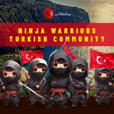 NinjaWTurk Profile Picture