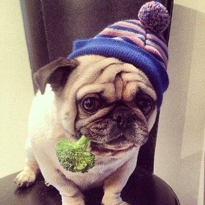 margopug's profile picture. #ЕмоційнийЕкспрес