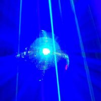 hungPapi 5k (@altacct1995) 's Twitter Profile Photo hungPapi 5k (@altacct1995) 's Twitter Profile Photo