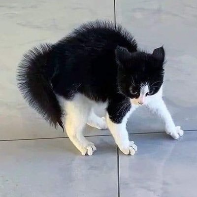 Hiさんのプロフィール画像