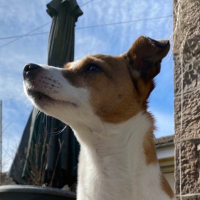 Cailanwhite1's profile picture. 19, Socialist