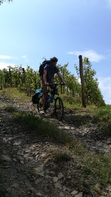 LiberoMcC's profile picture. Phd candidate in Economics, Università di Siena. 
Dual Degree - International Political Economics/Energy Economics at KCL London/Sciences Po Paris.