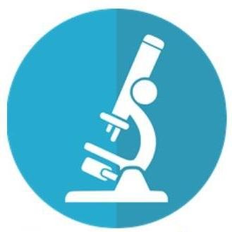 ocailabes's profile picture. 