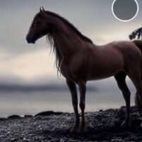 مفردات (@mfrdt221281) 's Twitter Profile