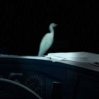 RiverCityRon (@future225) 's Twitter Profile