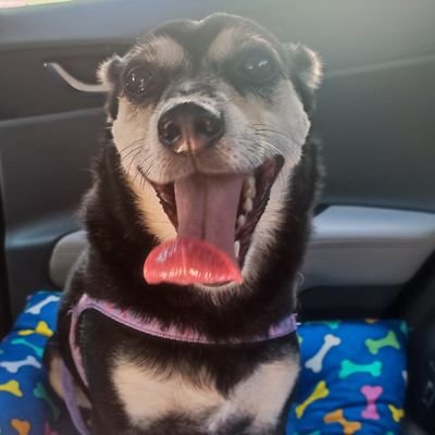 Sunnydaysummerr's profile picture. 