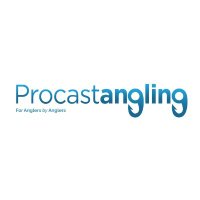 Procastangling(@procastangling) 's Twitter Profile Photo
