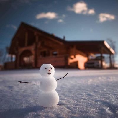 vizonl's profile picture.
