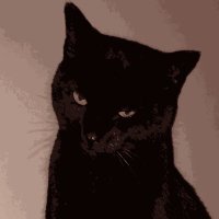 ᅠ/ ᅠᅠ𝓖𝐸𝑇𝐻𝐸𝑁 ᅠᅠ (@gorivox) 's Twitter Profile