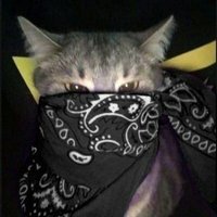 blk (@lukablk) 's Twitter Profile